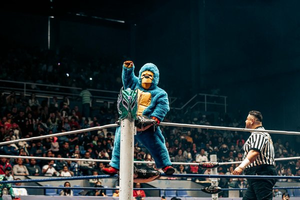 Comment débuter le yoga à la maison